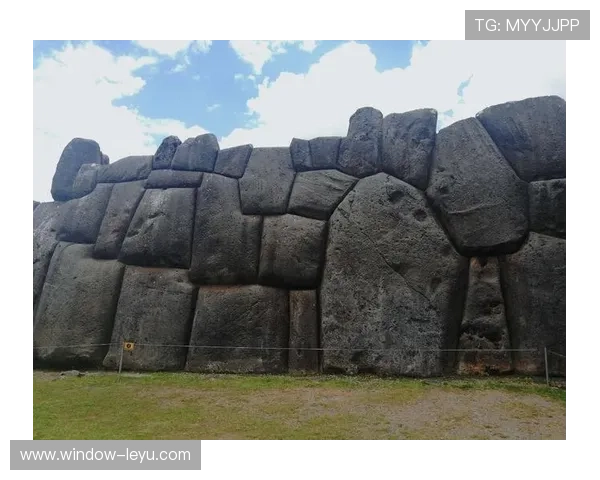 维冈竞技俱乐部的辉煌历史与未来发展展望